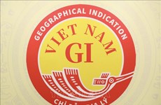 越南地理标志专用标志正式发布