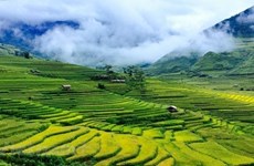 越南安沛省木江界县的旅游业已喜见起色 