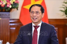 越南外交部长裴青山：为越中全面战略合作伙伴关系增添新动力
