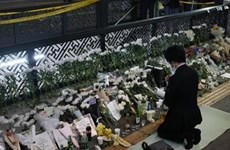 首尔踩踏事件：为遇难越南公民举行吊唁仪式