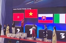 越南武术运动员在国际比赛上屡获奖牌