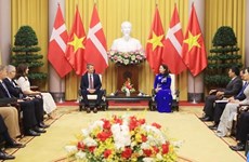 越南国家副主席武氏映春会见丹麦王储弗雷德里克