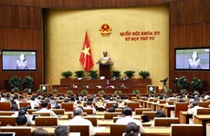越南第十五届国会第四次会议：完善符合社会主义定向市场经济体制的土地法律体系