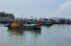 解除欧盟委员会IUU黄牌警告: 重点控制非法进入外国海域的渔船