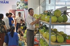 越南农产品推介点展示许多OCOP产品