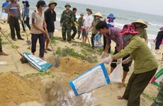 越南外交部例行记者会：保护生活环境和人民健康是越南的最高目标