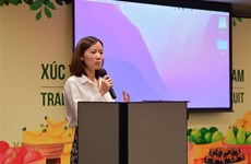 经济外交：让更多越南水果走进泰国市场