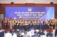 携手促进越南足球可持续发展