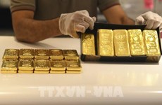 11月11日上午越南国内一两黄金卖出价上涨40万越盾