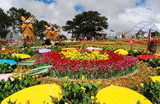 2022年第九届大叻花卉节举行在即