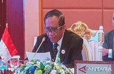 东盟峰会：印尼强调推动东盟安全、和平与繁荣发展的要求