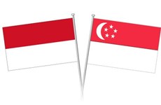 印度尼西亚和新加坡加强在妇女、家庭和儿童领域的双边合作