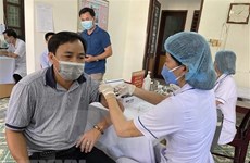 13日越南新增病例和危重症病例数​持续下降  无新增死亡病例