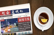 ☕️越通社新闻下午茶（2022.11.13）