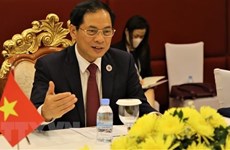 越南外交部部长裴青山：范明政总理访柬之行已取得圆满成功