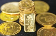 11月14日上午越南国内一两黄金卖出价下降10万越盾