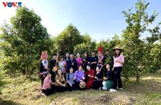 广宁省少数民族妇女积极从事生态旅游 
