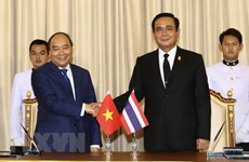 泰媒：巩固团结、加强合作，实现越泰共同繁荣