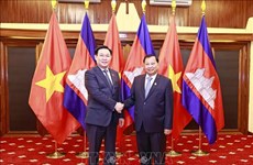 越南国会主席王廷惠会见柬埔寨参议院主席赛冲