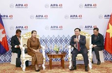 越南国会主席王廷惠会见柬埔寨副首相梅森安