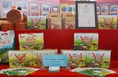 越南参加第6届中国-南亚博览会和昆明进出口商品交易会