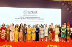 越南代表团出席东盟议会联盟女议员会议