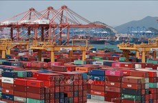 韩国增加从越南进口商品与服务