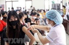 11月24日越南新增新冠肺炎确诊病例近500例
