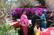 2022年秋季越南—日本高知县文化交流节拉开序幕