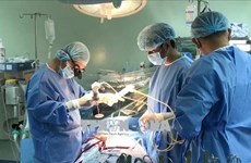 越南每年新增大肠直肠癌患者约1.6万例