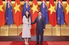 新西兰驻越南大使特雷登·多布森：积极推动越新战略伙伴关系向前发展