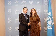越南出席第13届联合国贸发会议债务管理会议