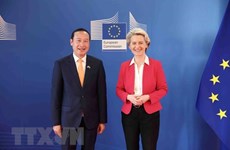 越通社驻比利时大使阮文草：推动越南—欧盟合作关系迈上新高度