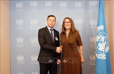 联合国贸发会议秘书长：越南是其他国家学习借鉴的成功典范