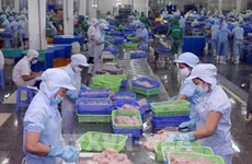 2022年前11月越南查鱼出口同比增长77%