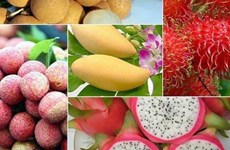 越南蔬果出口额突破31亿美元 