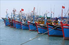 乂安省渔民严格执行打击IUU捕捞规定