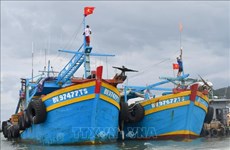 解除IUU“黄牌”警告：巴地头顿省严厉处理未安装渔船监视系统的渔船