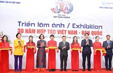 “越南-韩国合作30周年”图片展举行  