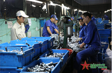 越南国家工业政策重点关注的各大内容