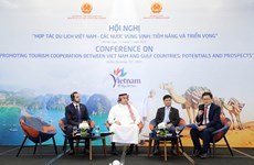 越南与海湾国家促进旅游领域的投资合作关系