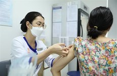 12月17日越南新增新冠肺炎确诊病例319多例