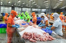 2023年越南查鱼对美出口前景乐观