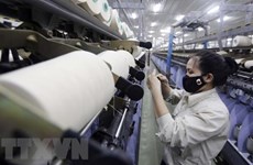 俄专家：越南外贸指数将在不久的将来达到万亿美元大关