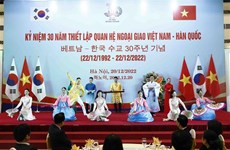 越南国家副主席武氏映春出席越韩建交30周年纪念活动