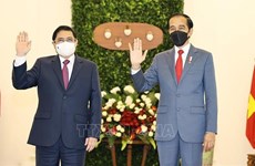 印尼媒体：印尼越南关系建立于坚实的基础上