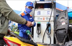 12月21日下午越南汽油零售价每公升下调500越盾