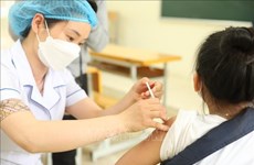 越南12月25日报告新增新冠肺炎确诊病例为71例
