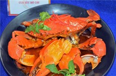 金瓯省螃蟹节期间69道螃蟹菜品创下记录