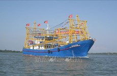 越南渔业协会：与农民、渔民并肩作战